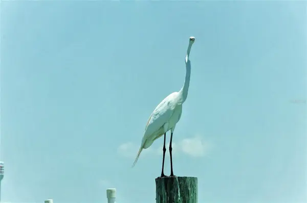 6040 BOCA GRANDE CSWY #5, Boca Grande, FL 33921