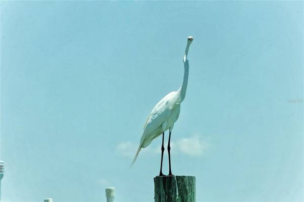 6040 BOCA GRANDE CSWY #5, Boca Grande, FL 33921