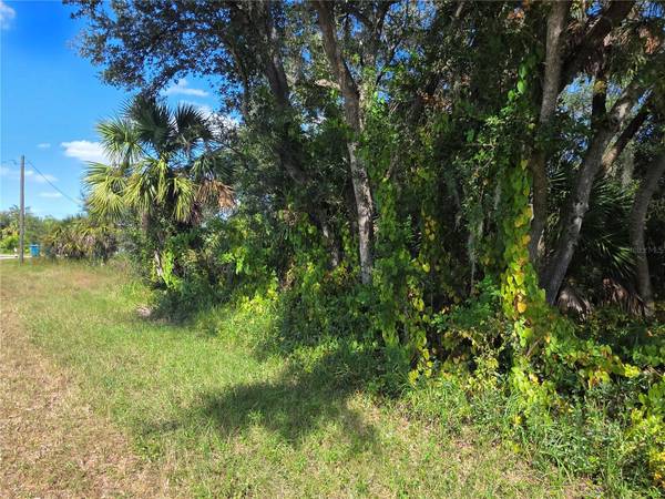 414 LIDDY ST, Port Charlotte, FL 33954