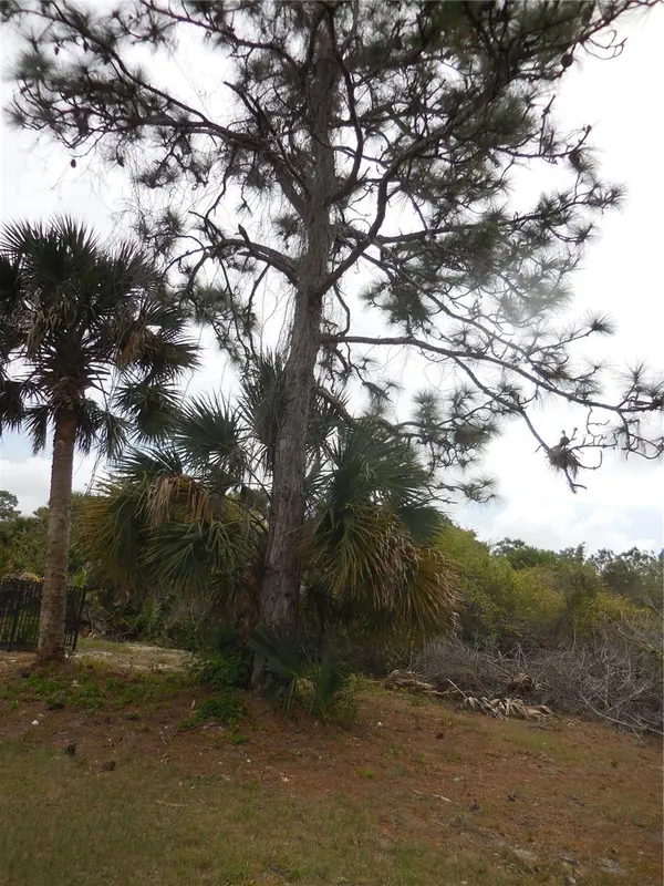 223 JENNIFER DR, Rotonda West, FL 33947