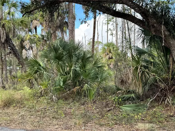 17344 ORION AVE, Port Charlotte, FL 33954