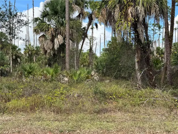 17344 ORION AVE, Port Charlotte, FL 33954