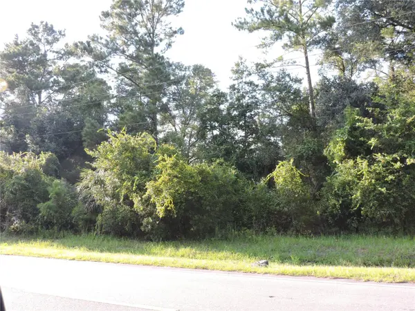 W COUNTY ROAD 2006 WEST W, Bunnell, FL 32110