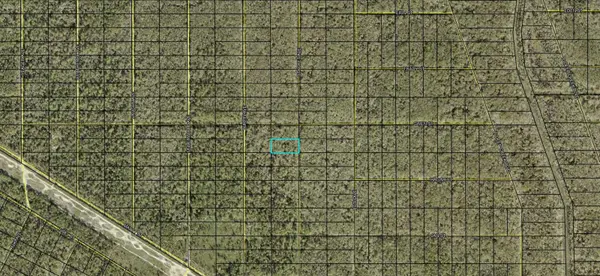 XX STYCKET AVE, Hastings, FL 32145