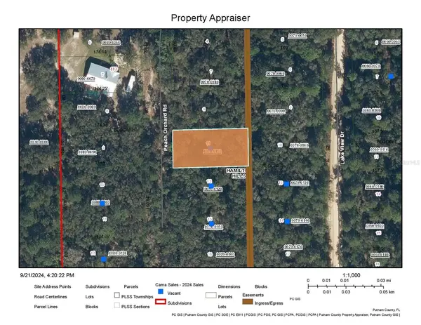 118 PEACH ORCHARD RD, Pomona Park, FL 32181