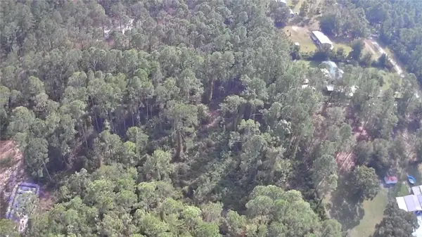 105 PINE CONE DR, Georgetown, FL 32139