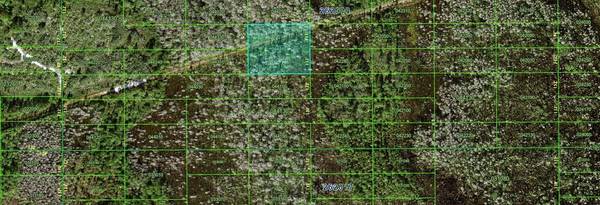 Polk City, FL 33868