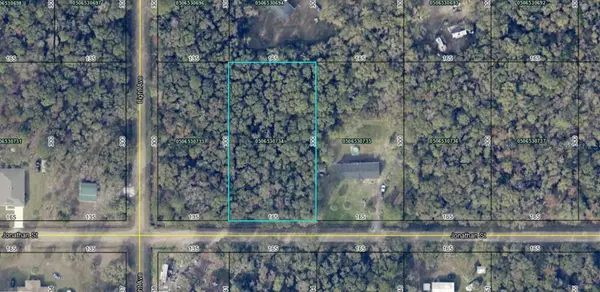 4590 JONATHAN ST, Hastings, FL 32145