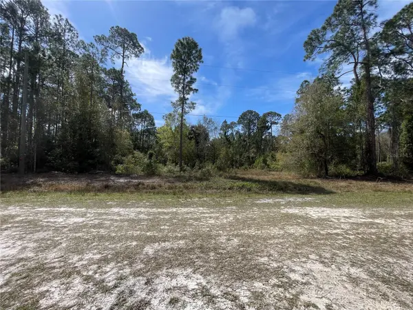 103 ROSEWOOD ST, Georgetown, FL 32139