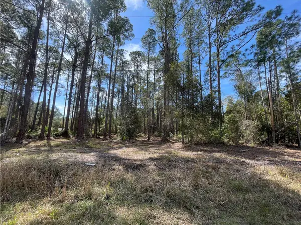 105 ROSEWOOD ST, Georgetown, FL 32139