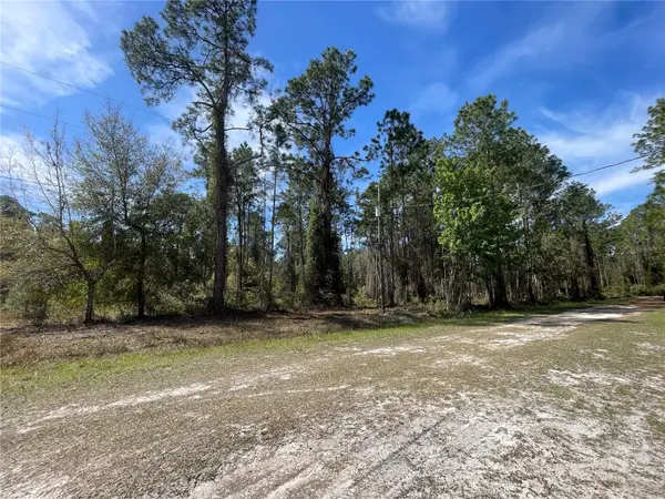 107 ROSEWOOD ST, Georgetown, FL 32139
