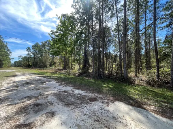 107 ROSEWOOD ST, Georgetown, FL 32139
