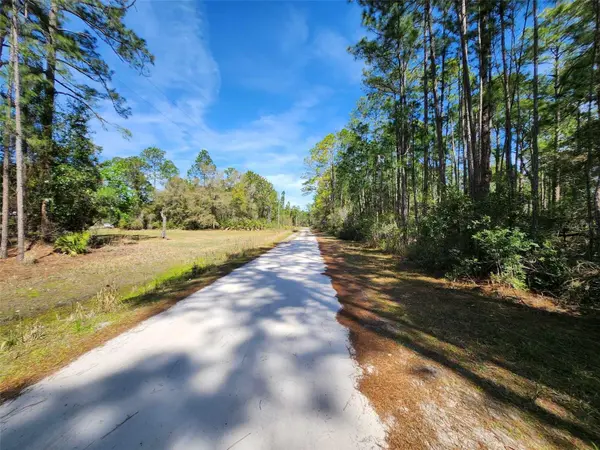 114 MOSSWOOD ST, Georgetown, FL 32139