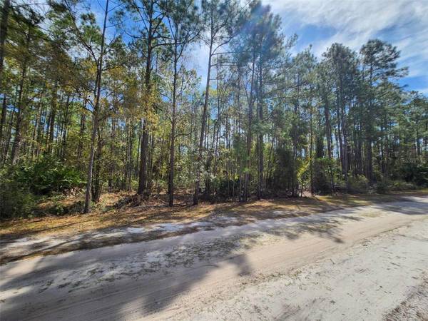 114 MOSSWOOD ST, Georgetown, FL 32139