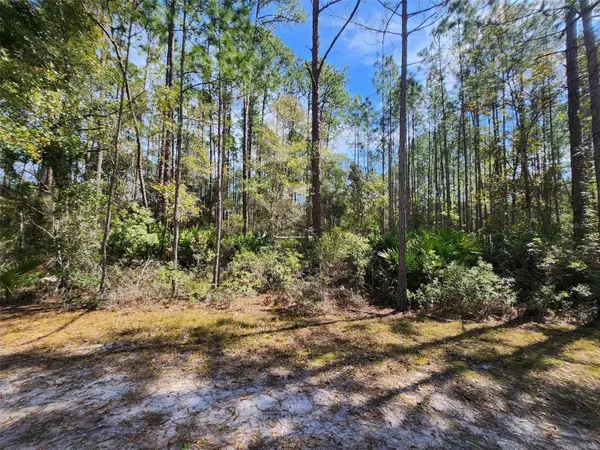 112 MOSSWOOD ST, Georgetown, FL 32139