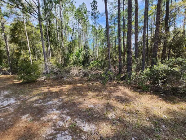 112 MOSSWOOD ST, Georgetown, FL 32139