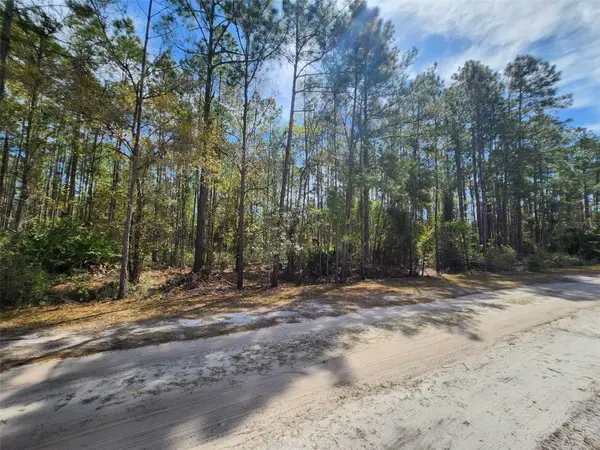 112 MOSSWOOD ST, Georgetown, FL 32139