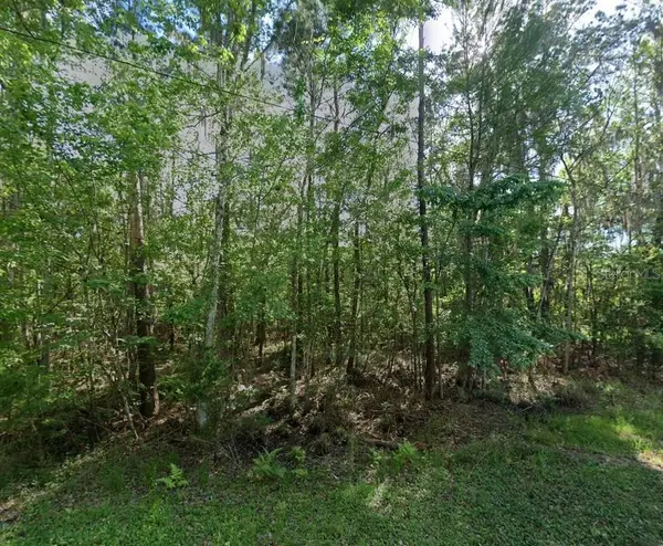 21779 NE 115TH AVE, Earleton, FL 32631