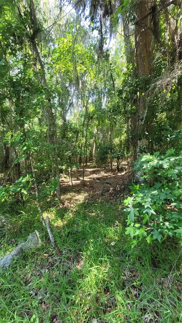 21779 NE 115TH AVE, Earleton, FL 32631