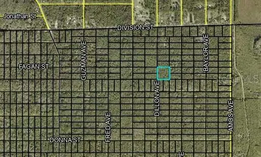 000 DILLON AVE, Hastings, FL 32145