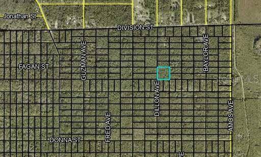 000 DILLON AVE, Hastings, FL 32145