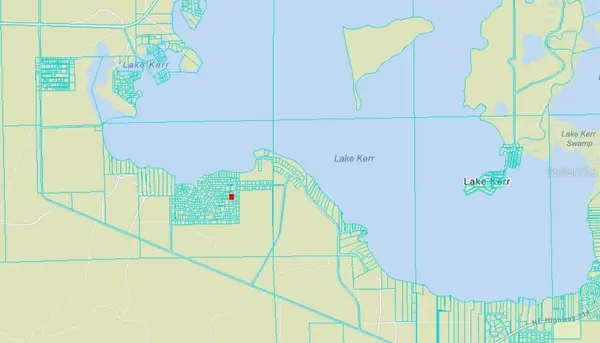 NE 134 PL, Salt Springs, FL 32134