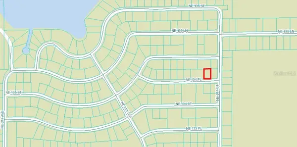 NE 134 PL, Salt Springs, FL 32134