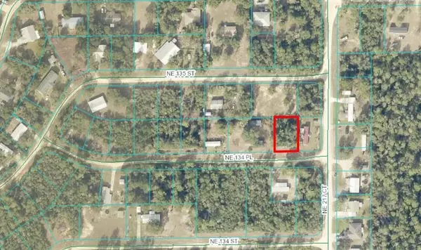 NE 134 PL, Salt Springs, FL 32134