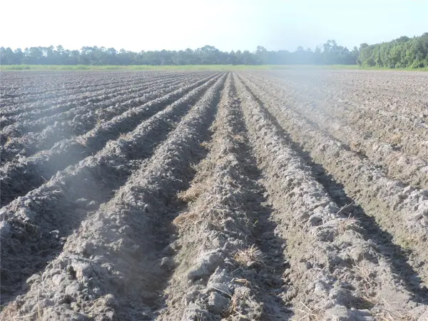 COUNTY ROAD 108 RD, Bunnell, FL 32110