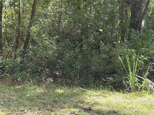 1228 CLOVER TER, Inverness, FL 34452