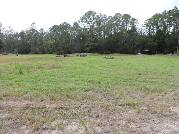 1310 S HUDSON ALLEN RD, Bunnell, FL 32110