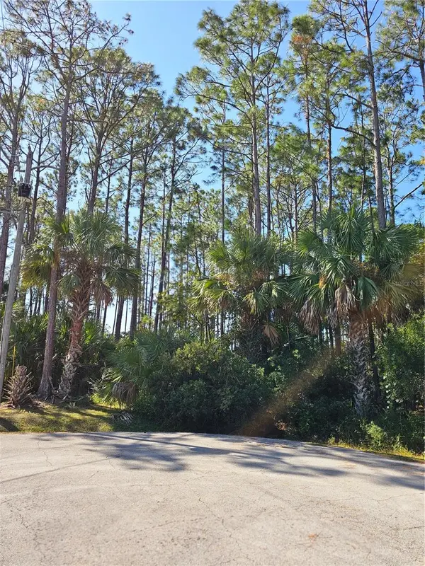 12 RAMSGATE PL, Palm Coast, FL 32164
