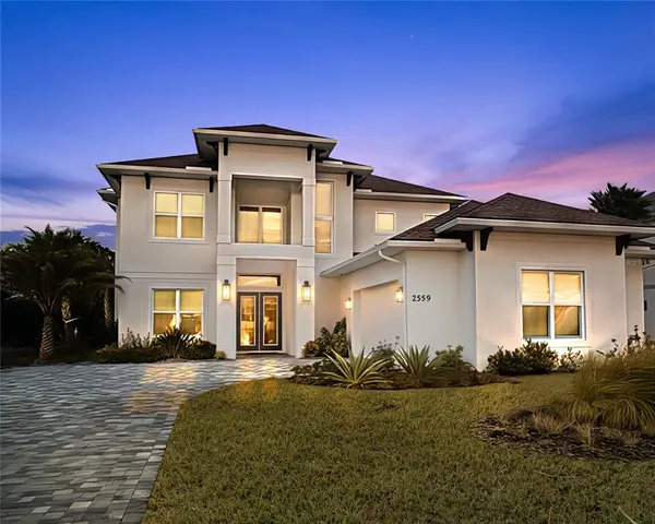 2559 PALM AVE, Flagler Beach, FL 32136,Video Tour