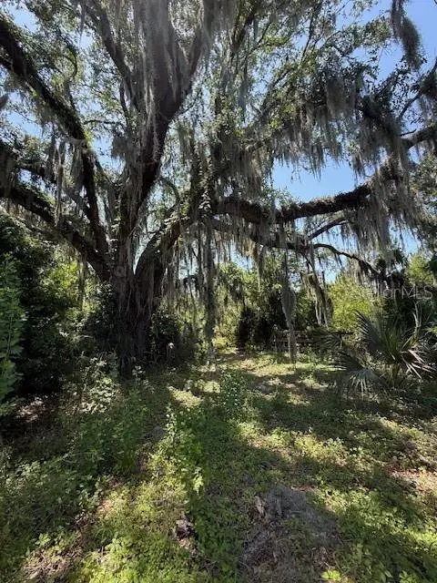 17918 NE US HIGHWAY 301, Waldo, FL 32694