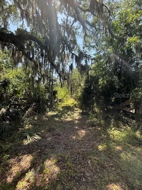 17918 NE US HIGHWAY 301, Waldo, FL 32694