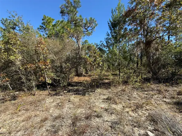 0 MONROE AVE LOT 12-17, Hawthorne, FL 32640