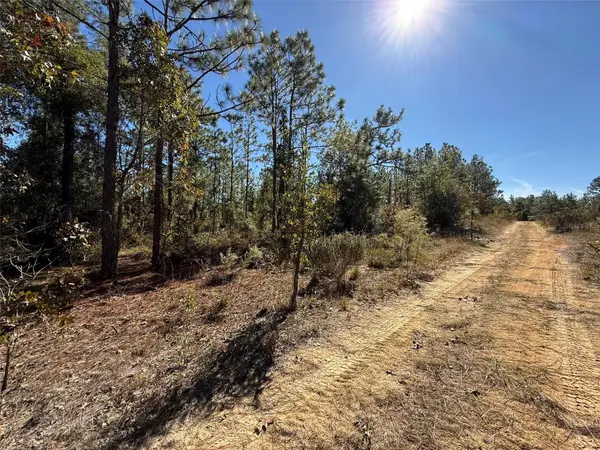 0 MONROE AVE LOT 12-17, Hawthorne, FL 32640