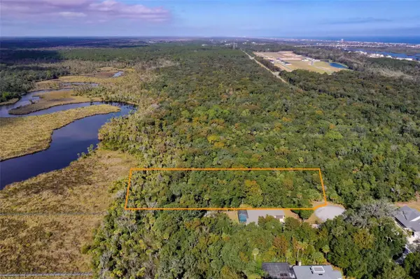 105 BRIDLE RIDGE CT, Flagler Beach, FL 32136