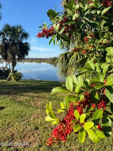 3780 JOHN ANDERSON DR, Ormond Beach, FL 32176