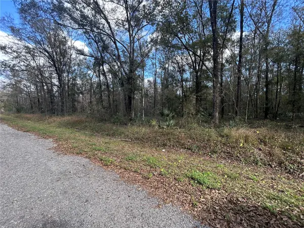 10040 MCMAHON AVE, Hastings, FL 32145