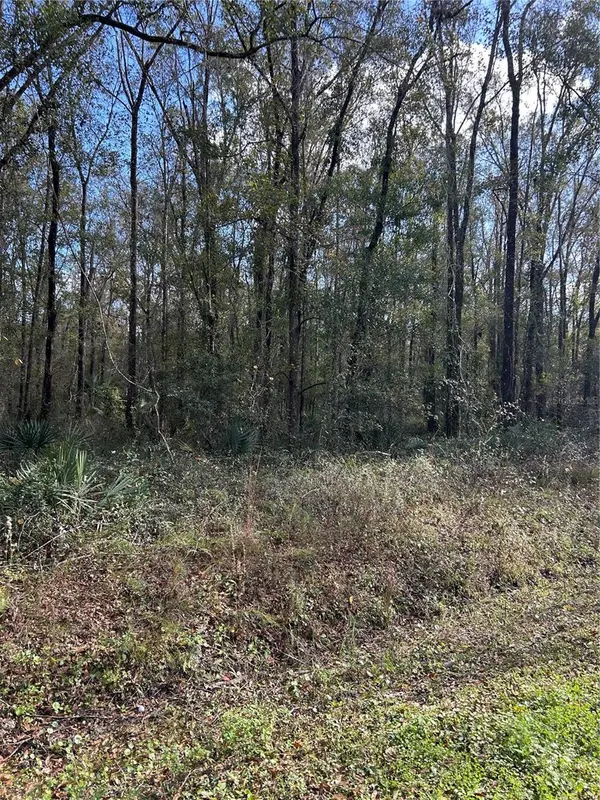 10040 MCMAHON AVE, Hastings, FL 32145