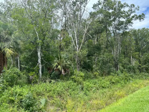 10040 MCMAHON AVE, Hastings, FL 32145