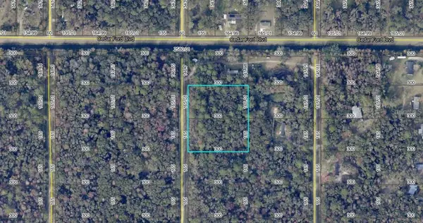10410 VAUGHAN AVE, Hastings, FL 32145