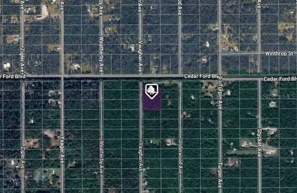 10410 VAUGHAN AVE, Hastings, FL 32145