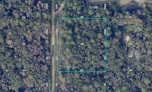 10410 VAUGHAN AVE, Hastings, FL 32145