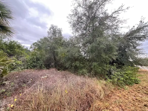 1608 SCOTT AVE, Lehigh Acres, FL 33972