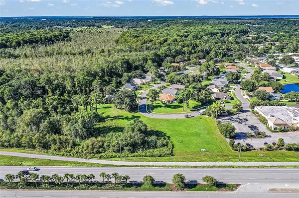 2000 VINDALE RD & US HWY 441, Tavares, FL 32778