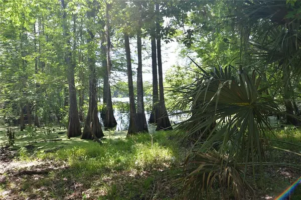 SW 64TH AVE, Bushnell, FL 33513