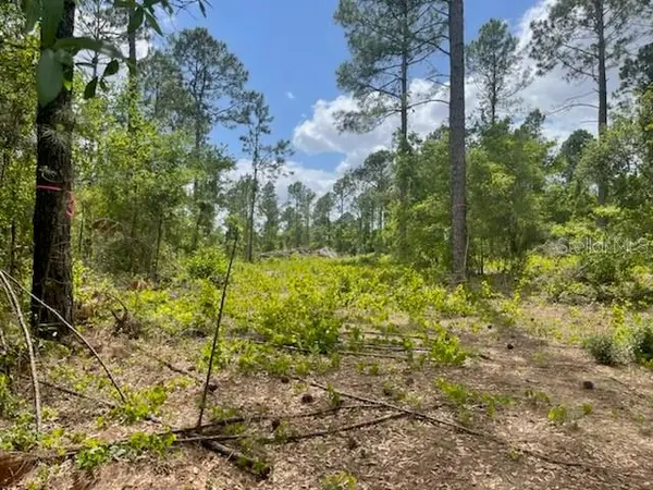 S OBRIEN RD, Groveland, FL 34736