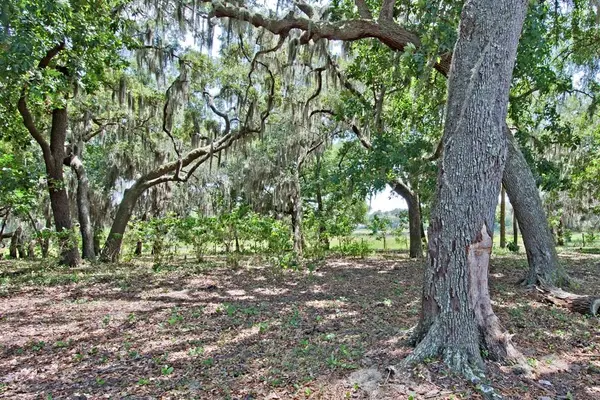 14704 OLD HIGHWAY 50, Clermont, FL 34711